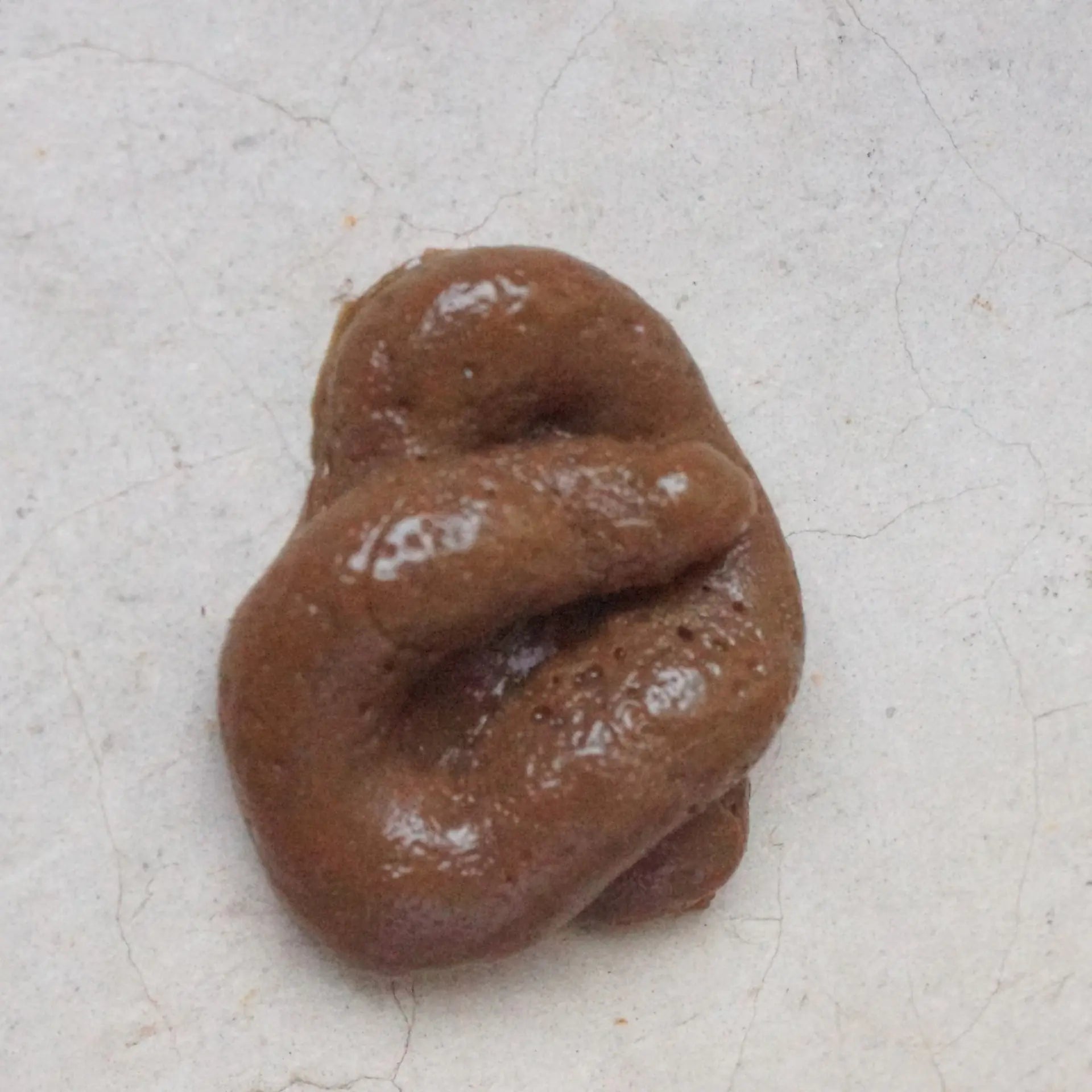 Trick Soft Poop Toy